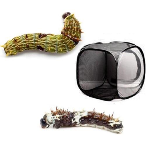 Portable Insect Cage Foldable Butterfly Habitat Cage Housing Enclosure Mesh Cloth Iron Insect Supplies Pet Product