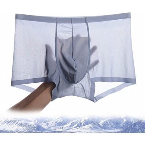 Hot Man Ice Silk Sexy Underwear Thin Breathable Soft Male Boxer Shorts Seamless Transparent Solid Mens Underpants Calzoncillos
