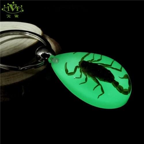 Luminous Real Scorpion Wasp Key Chain Bag Car Key Ring Glow In Dark Original Keychains Insect Trinket for Men Womans Accesories