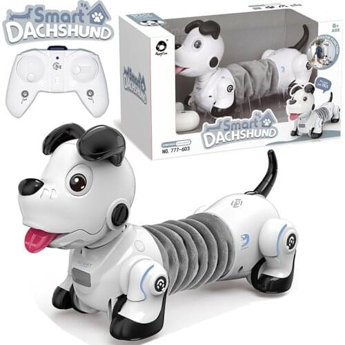 CEVENNESFE Interactive Toys