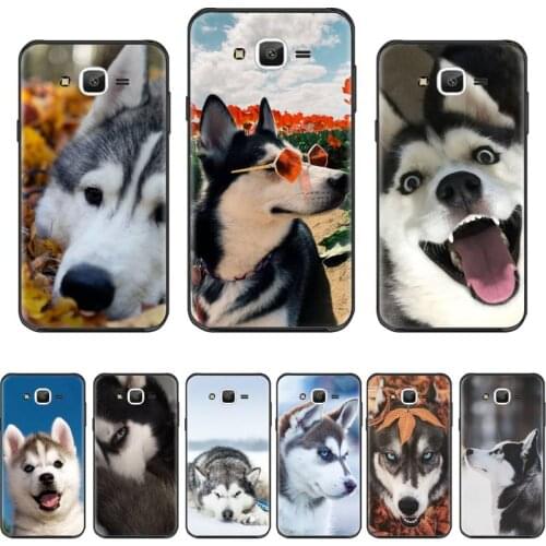 Husky cute animal dog Phone Case For Samsung Galaxy J2 J4 J5 J6 J7 J8 2016 2017 2018 Prime Pro plus Neo duo