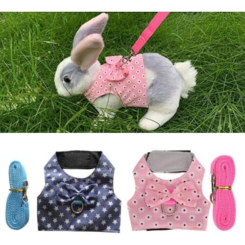 Rabbit Vest Small Animal Outdoor Walking Harness and Leash Set Cute Clothes for Puppy Kitten Multiple Sizes Blue/Pink