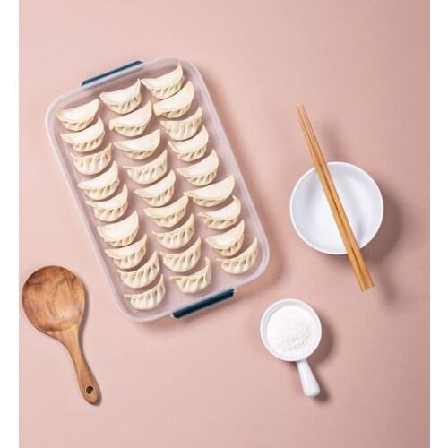Dumpling food storage box
