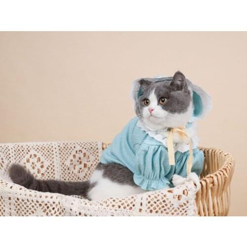 Summer Spring Clothing For Pet Dogs Cute Home Coat For Puppy Small Dog Cat Clothes Schnauzer Chihuahua Cat Clothes Pet Hoodies