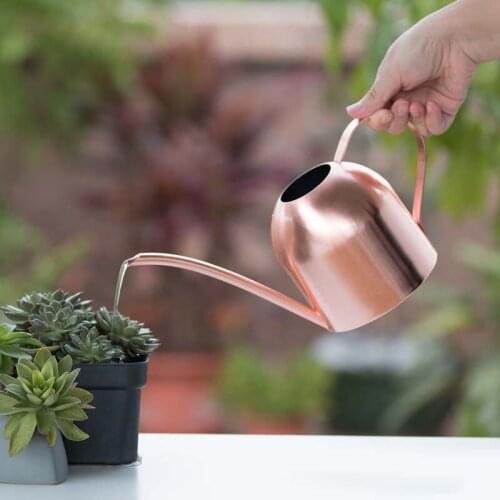500ml Stainless Steel Garden Watering Can gardening tools and equipment plant watering Water Bottle with Handle for flower
