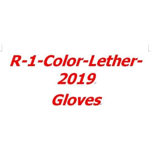 R-1-Color-Leather-2019 Gloves Cycling Gloves Moto Glove ALL SAME As RE