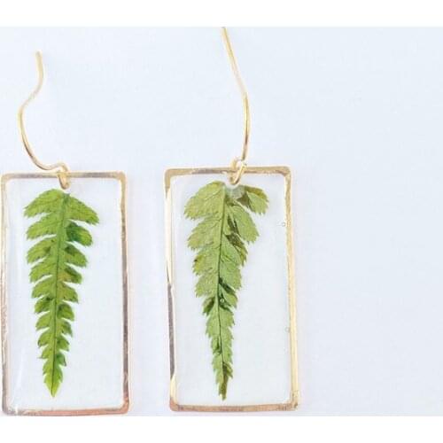 12 Pair/pack NATURAL DRIED FERNS EARRINGS Terrarium Jewelry Wanderlust Real Pressed Flower Botanical Nature-inspired Rectangle