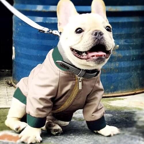 Pet Dog Jacket Clothes Snake Letters Printin Cat Jacket Fashion Cool Pet Clothing Small Pets Coat