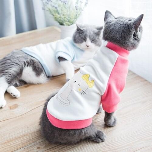 Spring cat clothes, pet kitten autumn and winter two-legged clothes, cat sweater, cat spring and autumn clothes