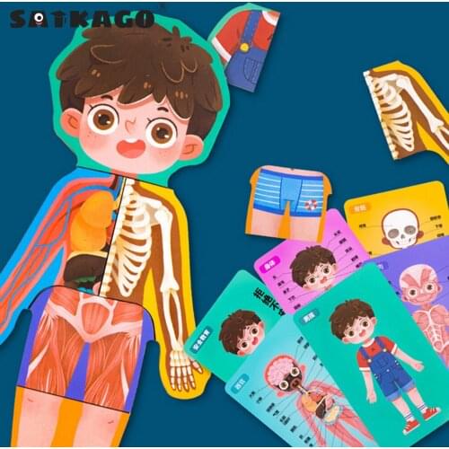 Satkago Wooden Human Body Puzzle Body Parts Gender Safety Awareness Muscles Bones Organs Cognition Educational Toy for Kids Gift