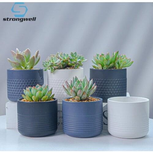 Strongwell Simplicity Straight Modern Black & White & Gray Matt Succulent Flower Pot Green Plant Pot Home Office Decoration Gift