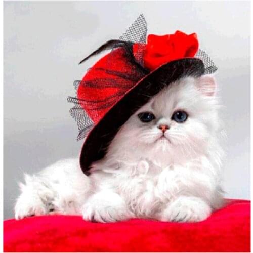 Full & Round Diamond Painting Cat 5d diy Diamond Embroidery Rhinestone Needlework Hobby Art Crystal Mosaic Decoration