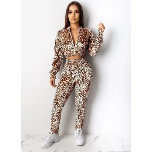 Womens Casual 2 Piece Outfits, Leopard Print Long Sleeve Top Pants Set Tracksuits