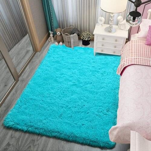 Fluffy Rug Carpets Soft Shaggy Area Rug Indoor Floor Rugs for Kids Room Bedroom Living Room Carpet Home Decor Mat Bedside Rug