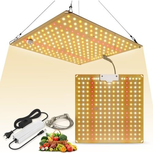 Arteco Professional Lighting