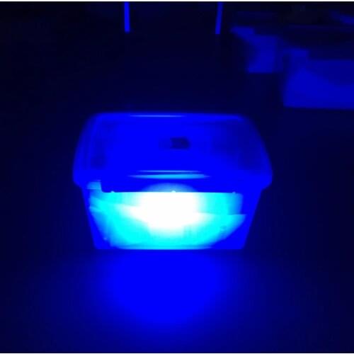 Jaxman U1c focus spot 3W 6W Nichia UV LED LAMPS 365nm 18650 LED flashlight free shipping