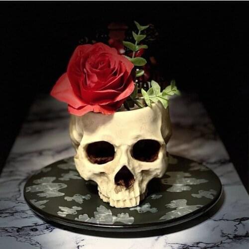Skull Head Planters Gothic White Skull Design Flower Pots Container Antique Sculpture Planter Home Decorations Gifts