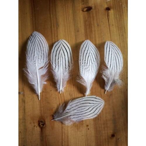Hot! 10 pc 10-15cm quality natural Pheasant feathers, diy jewelry decoration
