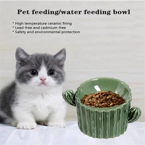 Cat Bowls Ceramic Cactus For Cats Bowl Pet Feeder Dogs Feeding Drinking Bowl for Cats Safety EP Cat Accessories Pet Supplies