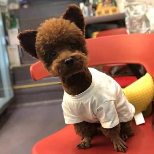 Spring Winter Pet Dog Sweatshirt Clothes Puppy Coat Jacket Sweater For Small Medium Dogs Pug Schnauzer Chihuahua LXC19