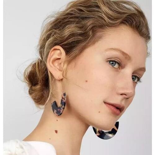 New leopard print U shape Dangle Earrings For women Geometric Acrylic Acetic Acid Statment Drop Earring 2019 Bohemia Jewelry