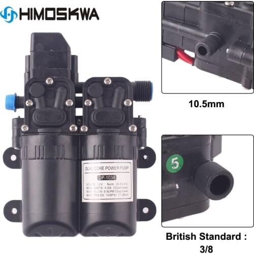 1 pc Spray type Pesticide pump 54.5W 12V Water pump for Crop and Deworming 105PSI