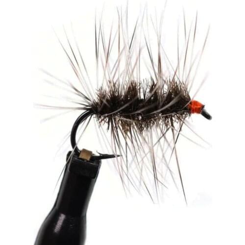 6pcs BionicInsect Popper Fishing Lures Simulation Cicada Wing Topwater Wobbler Artificial Hard Bait Crankbaits