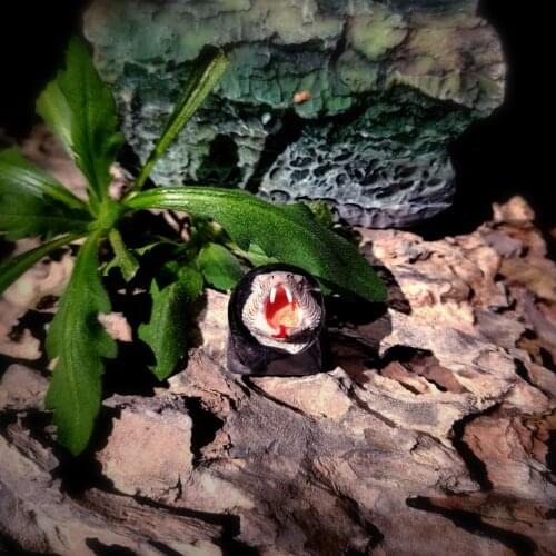 1PC handmade customized translucent scary ball python Keycaps resin for cherry mx personality replacement part