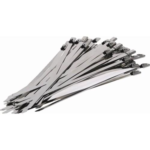100PCS Stainless Steel Cable Ties 4.6x150mm 4.6x200mm 4.6x300mm Stainless Steel Metal Locking Cable Ties Zip Wrap Pipe Header