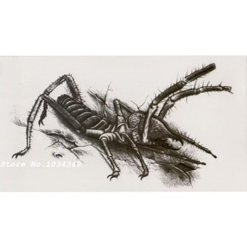 1 Sexy Body art tattoos insects Black Henna Temporary Tattoo Black Mehndi Style Waterproof Tattoo Sticker