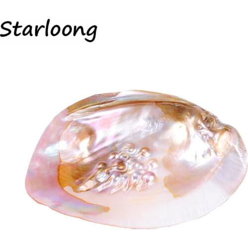1pc 13*18cm AA quality natural fresh water pearl oyster clam shell burnish Smoothly for jewelry crafts