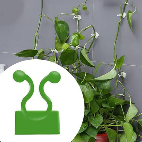 10pcs Plant Climbing Wall Clip Invisible Wall Vines Fixture Wall Sticky Hook Holder Plant Cages & Supports