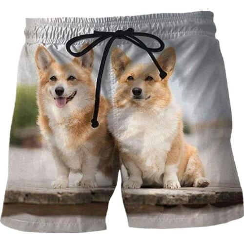 New fashion animal dog Harajuku casual shorts 3D printing interesting beach shorts unisex casual sports shorts