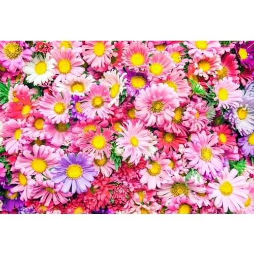 VinylBDS Photo Background Bellis Perennis Wall Backdrops Flores Wedding Background Spring Scenery Backgrounds for Photo Studio