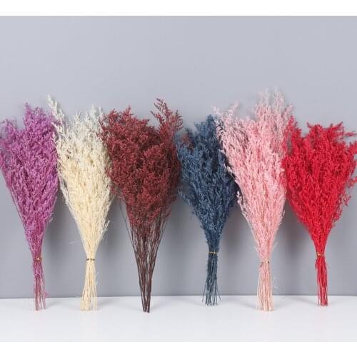 55CM Natural Fresh Dried Preserved Lover Grass Dancing Flowers Real Forever Flower Grass Bouquet For Wedding Home Decor
