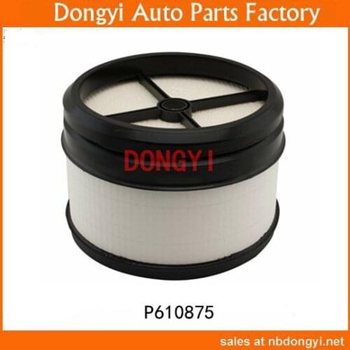 High Quality AIR FILTER OEM P610875