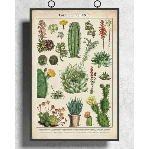 H353 Silk Poster Home Decoration Cacti & Succulents Kitchen Vintage Wall Art Christmas Gift