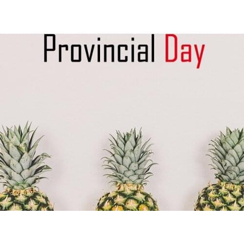 Celebrate Canada Provincial Day Blessing Festival Holiday Gala Celebration Words Wall Sticker Art Decal Wallpaper for Room Decal