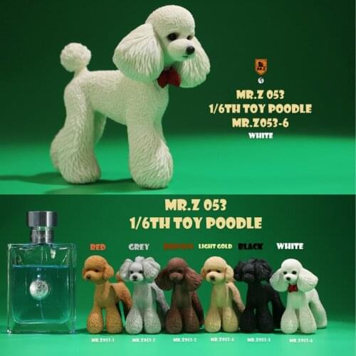 1/6 Scale Mr.Z 053 Teddy Poodle Dog simulation animal model Toy For 12" Action Figure Scene Car Decoration