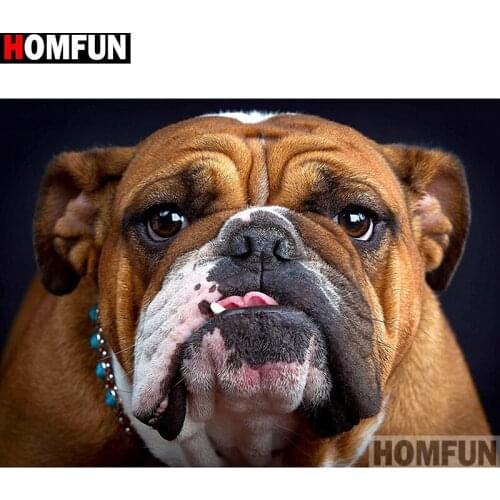 HOMFUN Full Square/Round Drill 5D DIY Diamond Painting "Animal dog" Embroidery Cross Stitch 5D Home Decor A14235