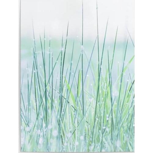 Modular Bushes Canvas Painting HD Prints Grass Pictures Home Decor Early Morning Dew Poster Modern Wall Art Living Room No Frame