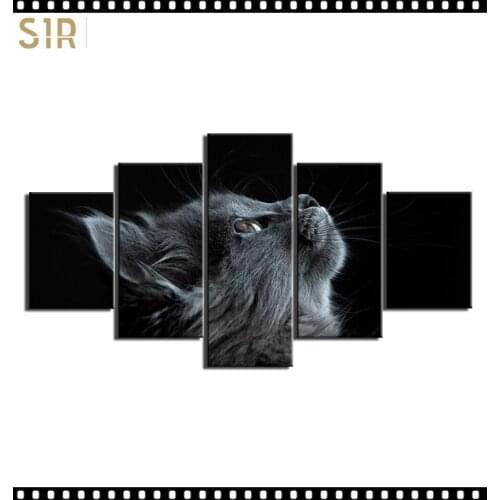 HD 5 Pieces Pet Cat Animal Pictures Posters Wall Art Home Decor for Living Room Painting on The Wall Cat Pet Pictures Wall Art