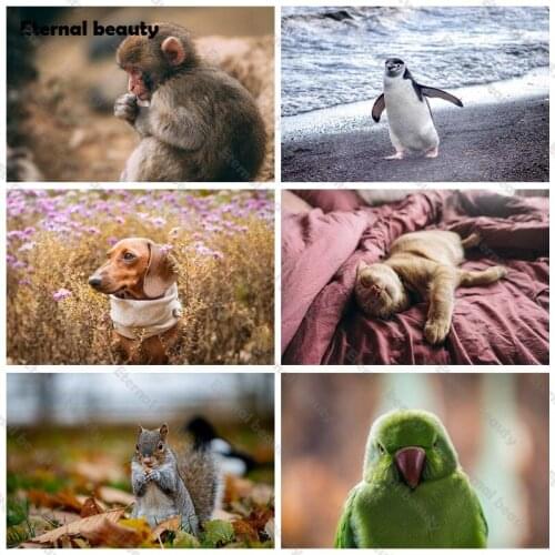 Full Drill Diy Diamond Painting Cross Ctitch Kits 5D Diamond Embroidery Mosaic Animals Monkey Cat Penguin Paintings Home Decor