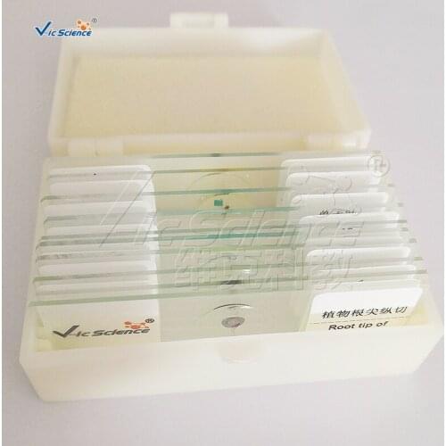 10 pcs different Microscope slides prepared for Medicial and Teaching expriments