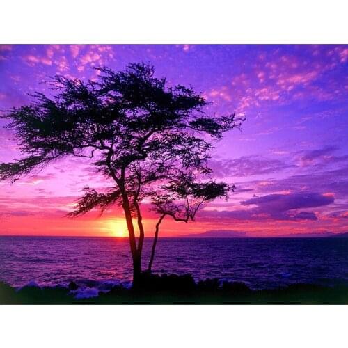 5D DIY Full Square Round Resin Diamond Painting "Sunsets and trees" Cross Stitch Embroidery Mosaic New Arrival Home Decoration