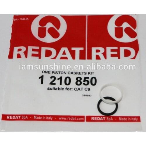 Diesel Plunger Repair Kit 1210850 One piston gasket kit 1210850 for HEUI engine C7 C9
