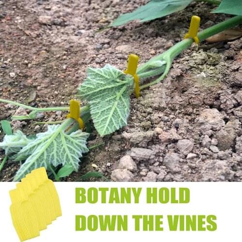 50/100PCS Plant Vine Fixer Vines Fastener Tied Clips Plastic Gardening Plant Fixing Clip Buckle Hook Garden Plant Vegetable Clip