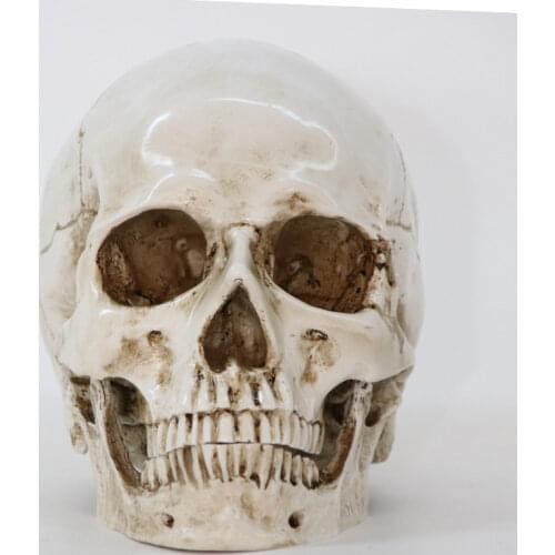 Statues Sculptures Resin Halloween Home Decor Decorative Craft Skull Size 1:1 Model Life Replica High Quality