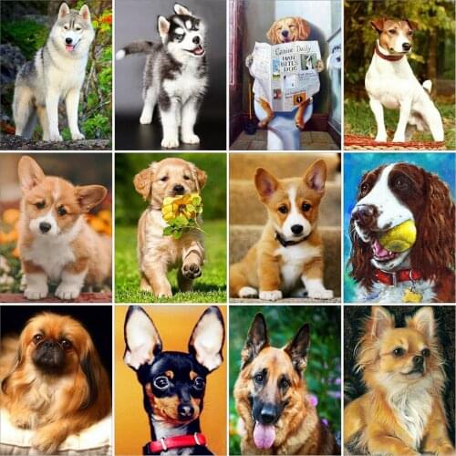 EverShine Full Drill Square Diamond Painting Animals Picture Of Rhinestone Diamond Embroidery Dog Mosaic Art Kits Wall Decor