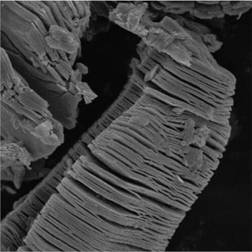 MAX phase ceramic Ti3AlC2 aluminum titanium carbide titanium carbide aluminum aluminum carbide titanium carbide Mxene titanium a